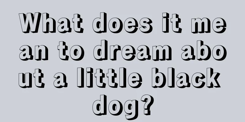 What does it mean to dream about a little black dog?