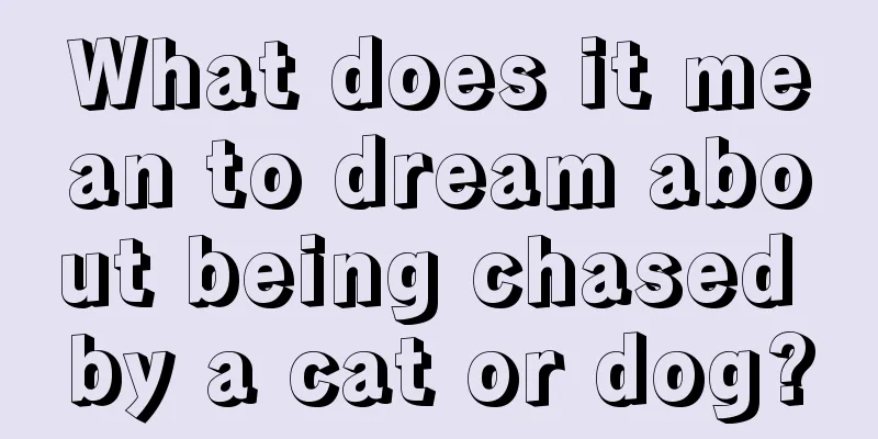 What does it mean to dream about being chased by a cat or dog?