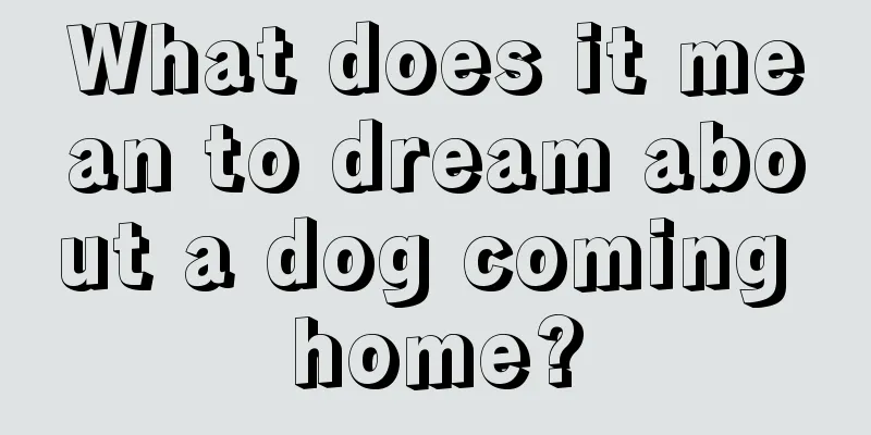 What does it mean to dream about a dog coming home?