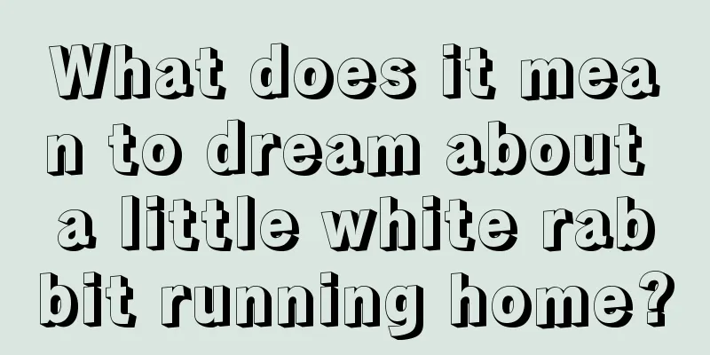 What does it mean to dream about a little white rabbit running home?