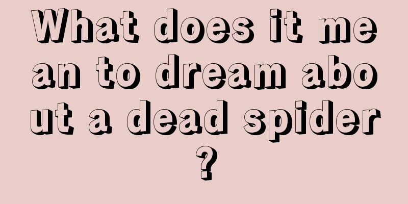 What does it mean to dream about a dead spider?