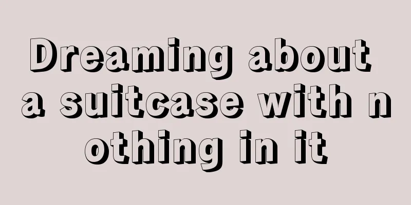 Dreaming about a suitcase with nothing in it