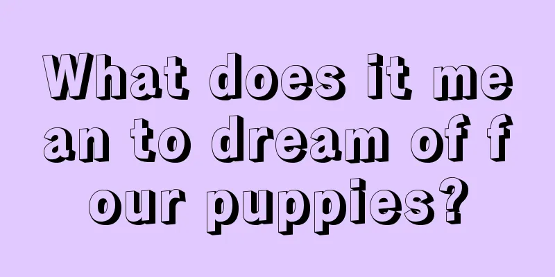 What does it mean to dream of four puppies?