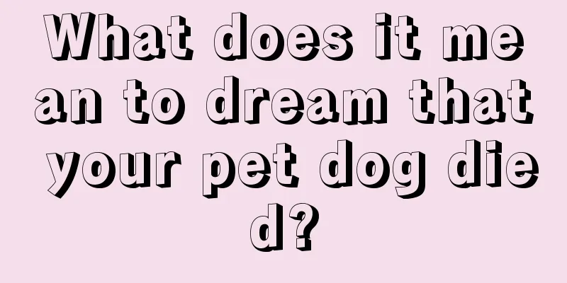 What does it mean to dream that your pet dog died?