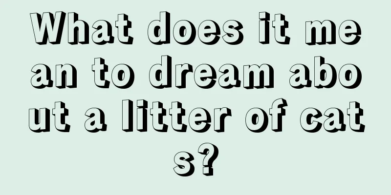 What does it mean to dream about a litter of cats?