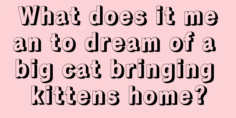 What does it mean to dream of a big cat bringing kittens home?