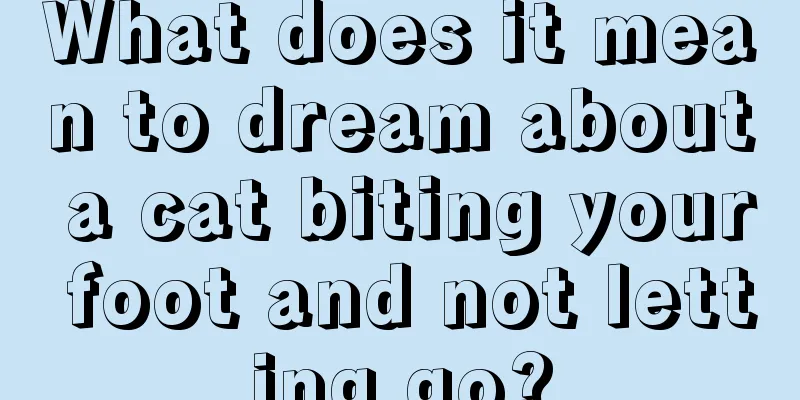 What does it mean to dream about a cat biting your foot and not letting go?