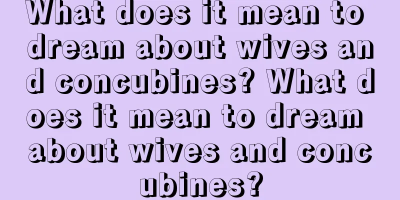 What does it mean to dream about wives and concubines? What does it mean to dream about wives and concubines?