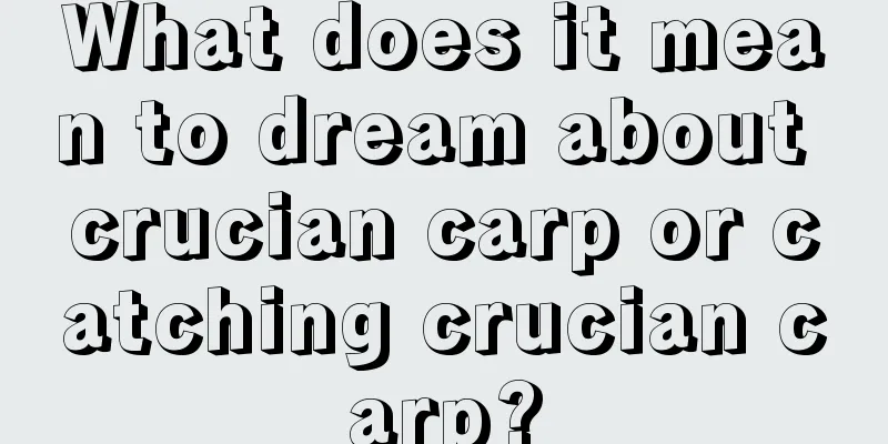 What does it mean to dream about crucian carp or catching crucian carp?