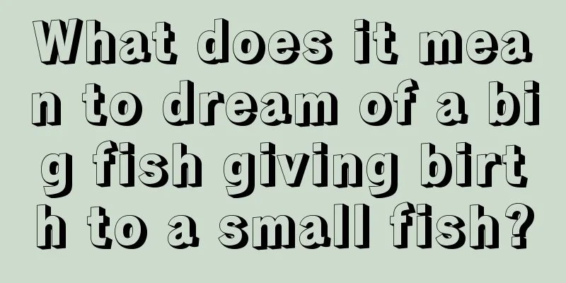 What does it mean to dream of a big fish giving birth to a small fish?