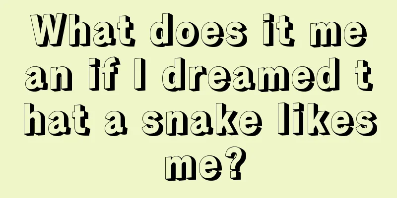 What does it mean if I dreamed that a snake likes me?