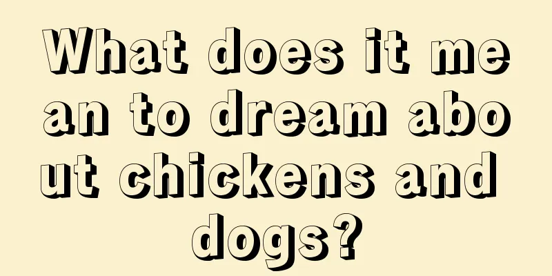 What does it mean to dream about chickens and dogs?