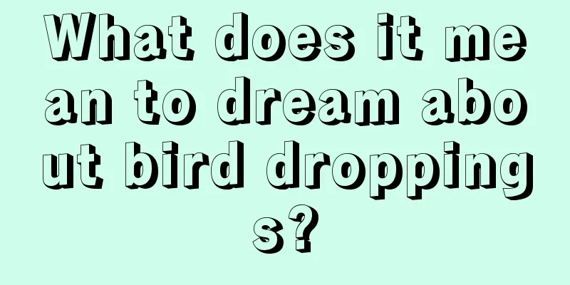 What does it mean to dream about bird droppings?