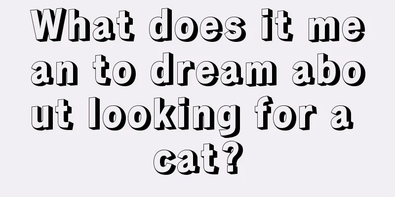 What does it mean to dream about looking for a cat?