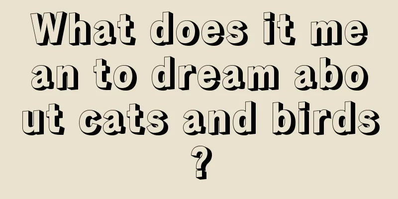 What does it mean to dream about cats and birds?