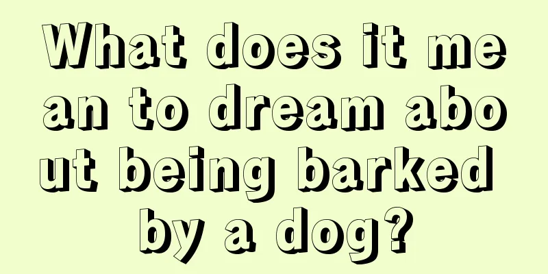 What does it mean to dream about being barked by a dog?