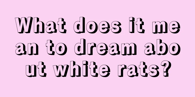 What does it mean to dream about white rats?