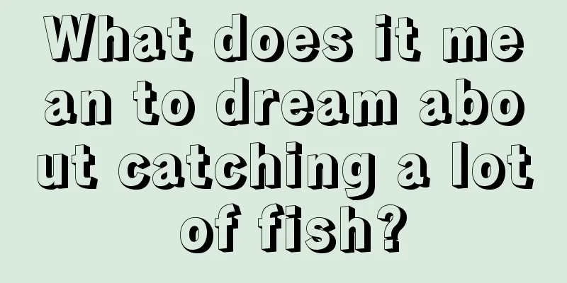 What does it mean to dream about catching a lot of fish?