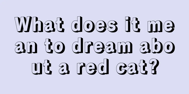 What does it mean to dream about a red cat?