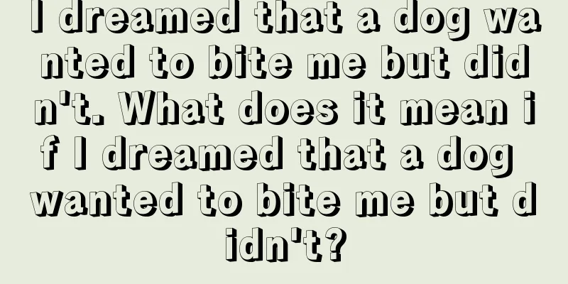 I dreamed that a dog wanted to bite me but didn't. What does it mean if I dreamed that a dog wanted to bite me but didn't?