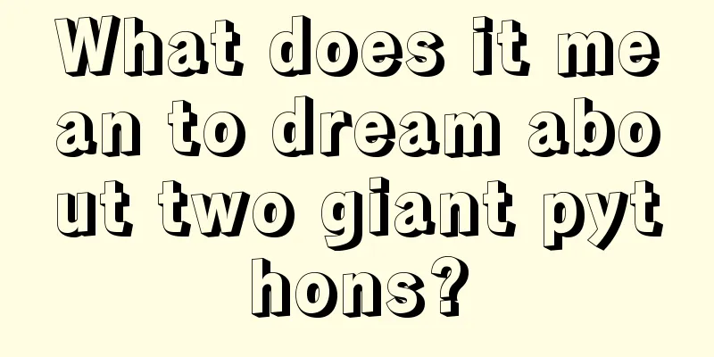 What does it mean to dream about two giant pythons?