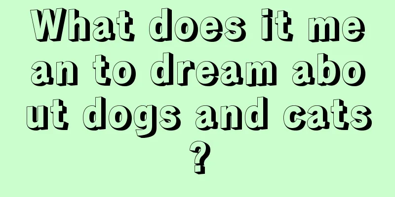 What does it mean to dream about dogs and cats?