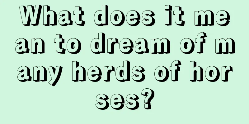 What does it mean to dream of many herds of horses?