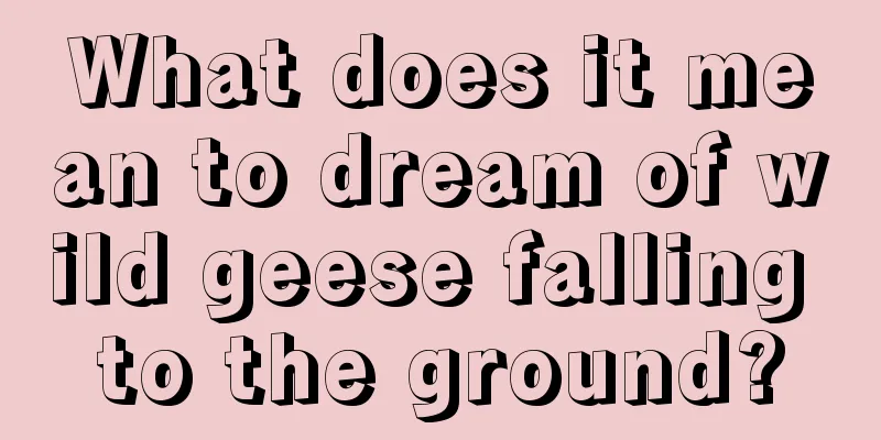 What does it mean to dream of wild geese falling to the ground?