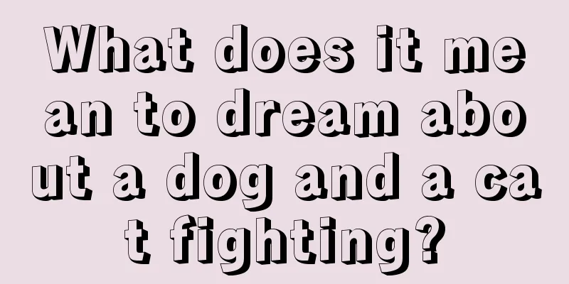 What does it mean to dream about a dog and a cat fighting?