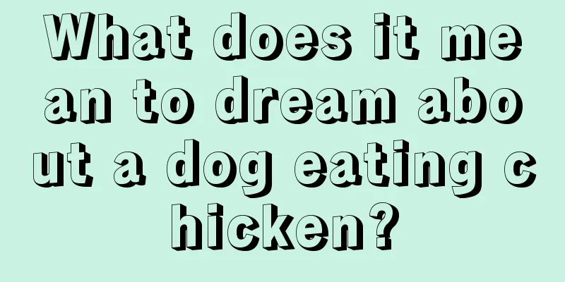 What does it mean to dream about a dog eating chicken?