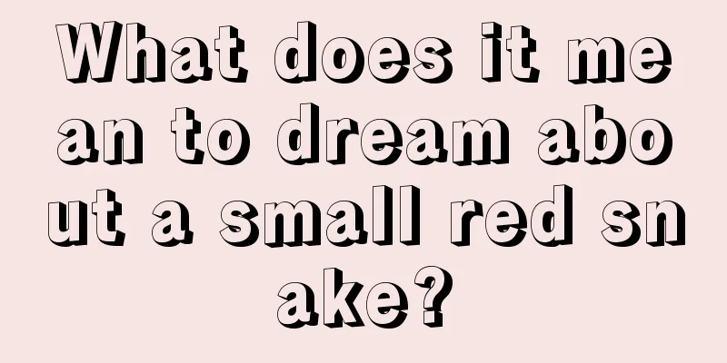 What does it mean to dream about a small red snake?