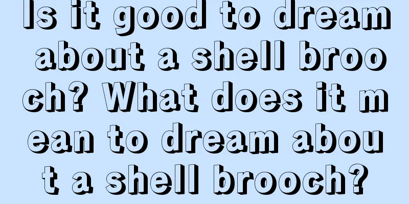 Is it good to dream about a shell brooch? What does it mean to dream about a shell brooch?