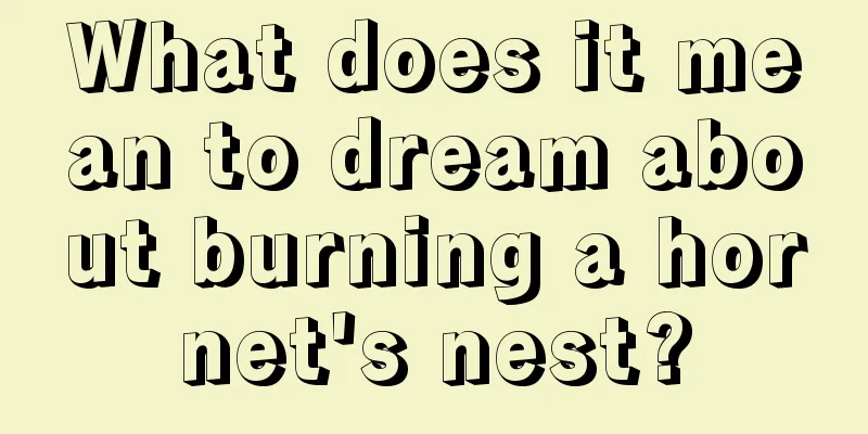 What does it mean to dream about burning a hornet's nest?