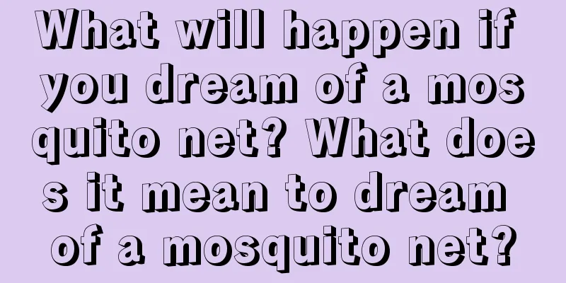 What will happen if you dream of a mosquito net? What does it mean to dream of a mosquito net?