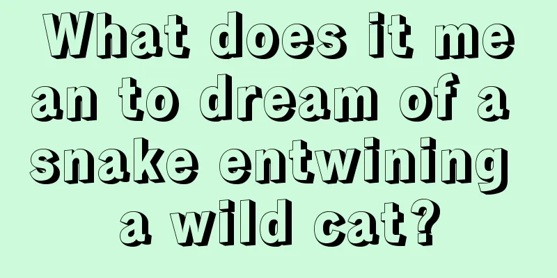 What does it mean to dream of a snake entwining a wild cat?