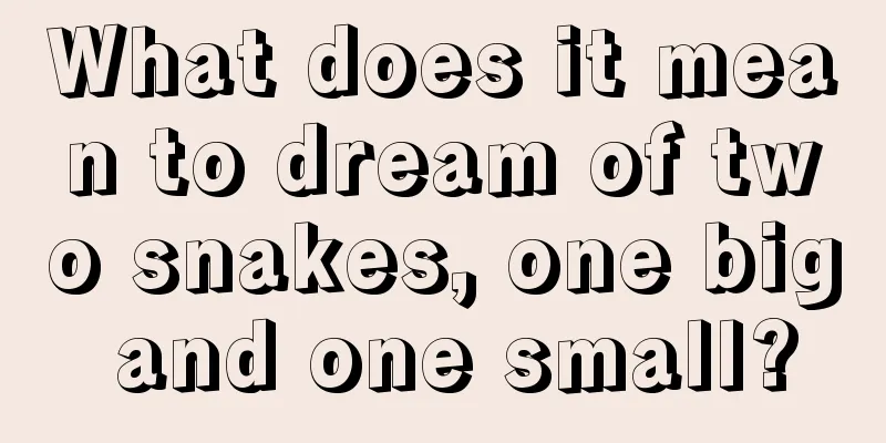 What does it mean to dream of two snakes, one big and one small?