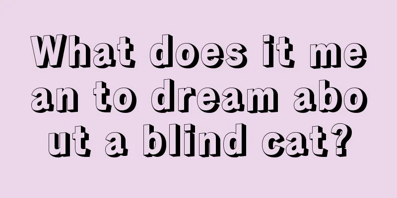 What does it mean to dream about a blind cat?