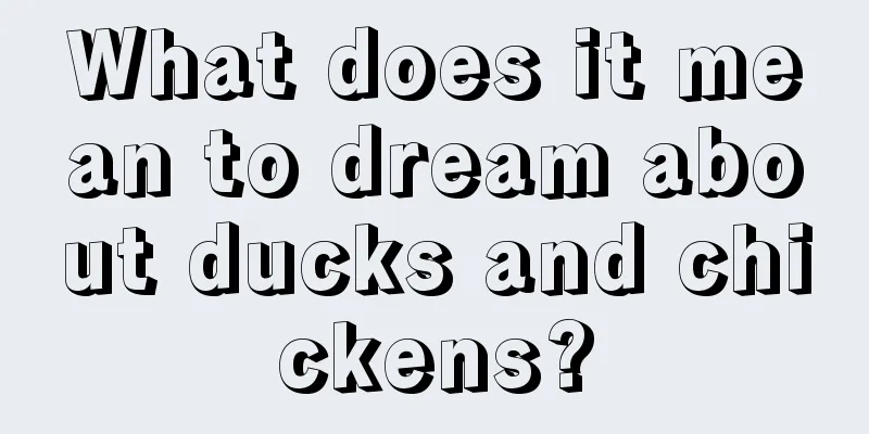 What does it mean to dream about ducks and chickens?