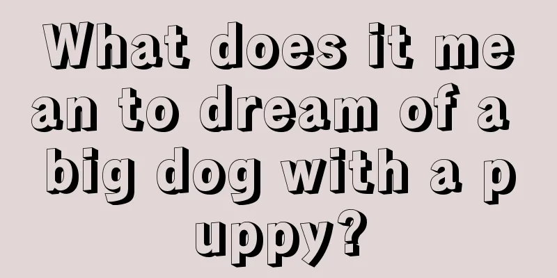 What does it mean to dream of a big dog with a puppy?