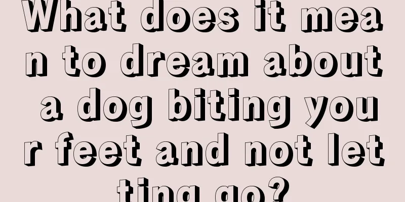 What does it mean to dream about a dog biting your feet and not letting go?