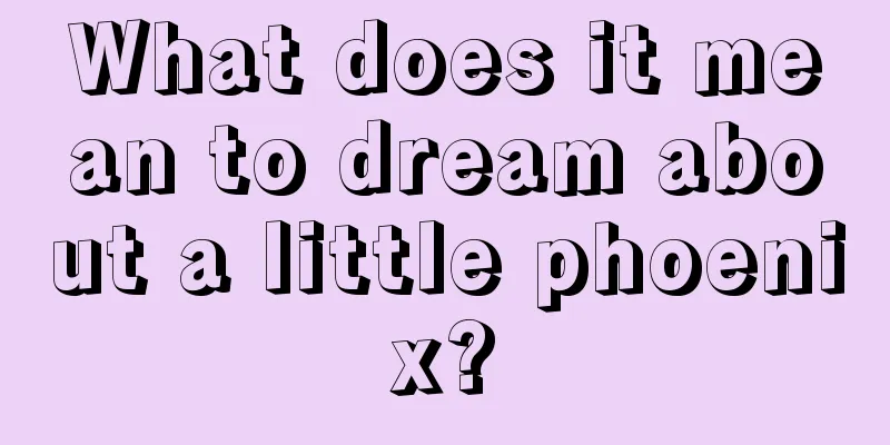 What does it mean to dream about a little phoenix?