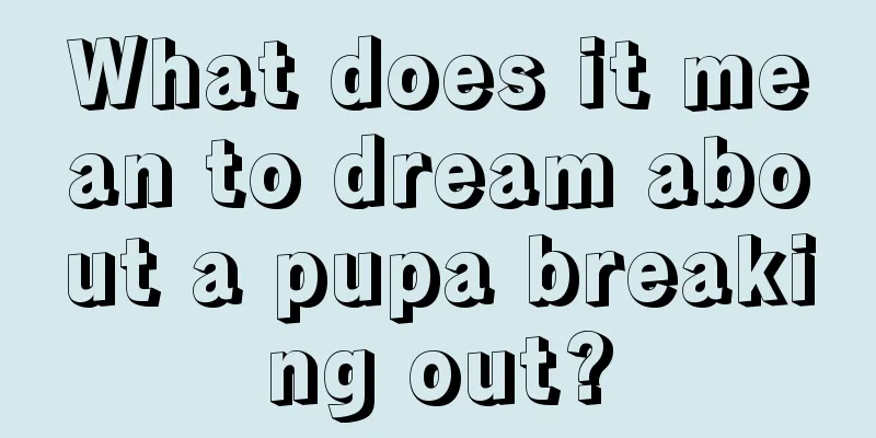 What does it mean to dream about a pupa breaking out?