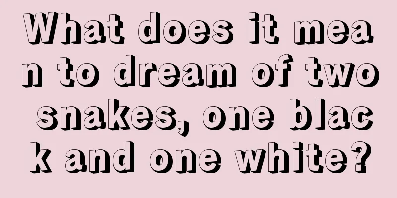 What does it mean to dream of two snakes, one black and one white?