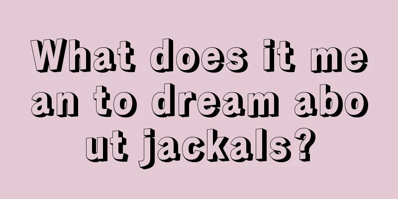 What does it mean to dream about jackals?