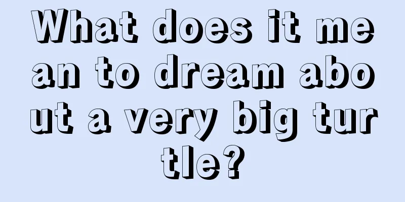 What does it mean to dream about a very big turtle?