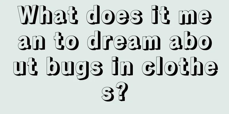 What does it mean to dream about bugs in clothes?