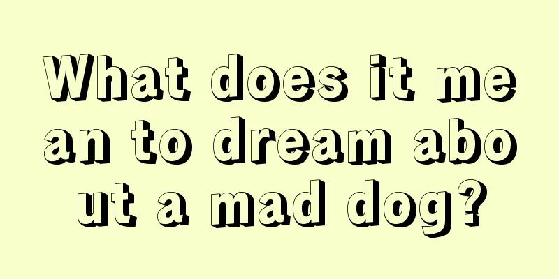 What does it mean to dream about a mad dog?