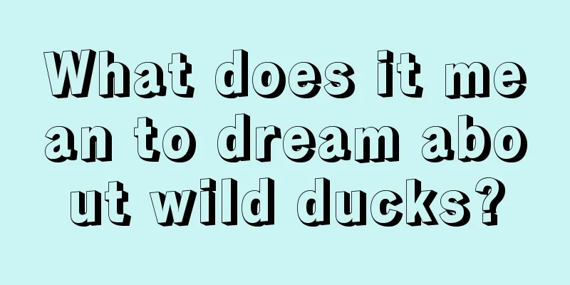 What does it mean to dream about wild ducks?