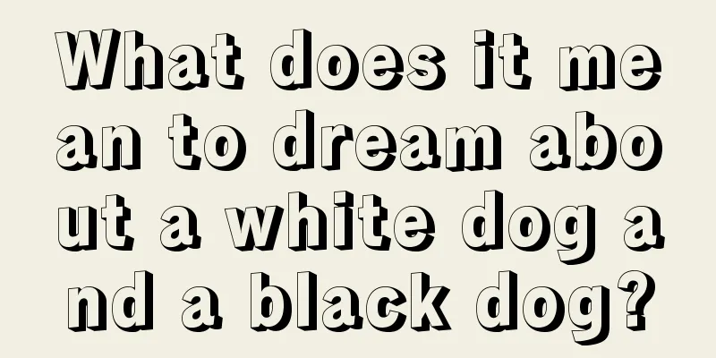 What does it mean to dream about a white dog and a black dog?