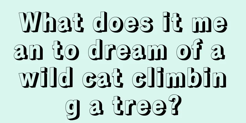 What does it mean to dream of a wild cat climbing a tree?